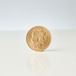 590622 Gold coins